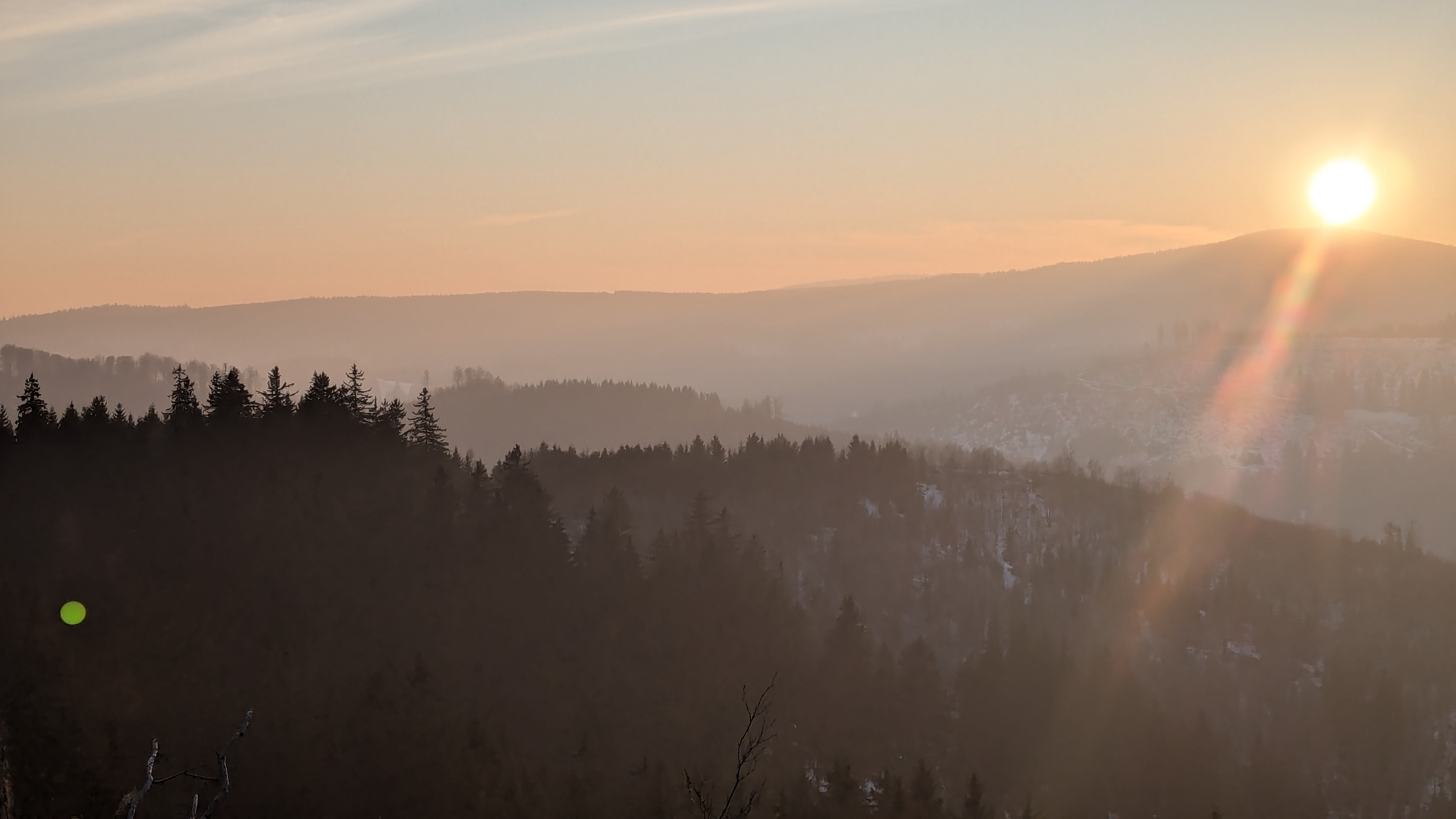Waldweg bei Sonnenaufgang